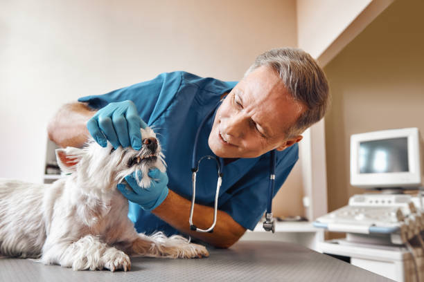 Best Emergency Broken Tooth Repair in Englewood, OH